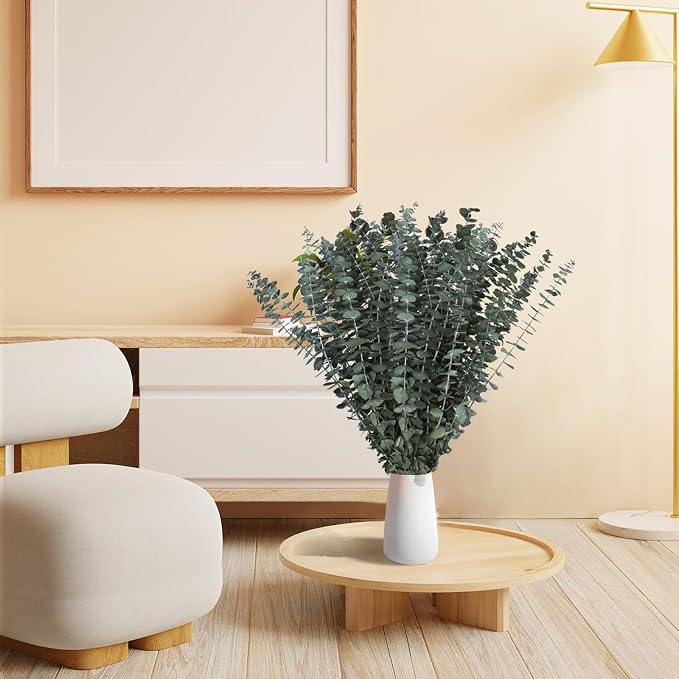 24 PCS Real Dried Eucalyptus Stems - Image 6