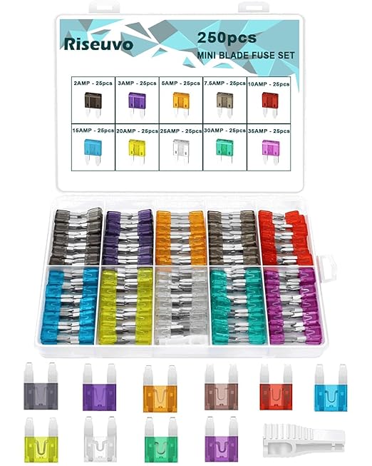 Riseuvo 250 Pcs Mini Fuse Kit by Riseuvo