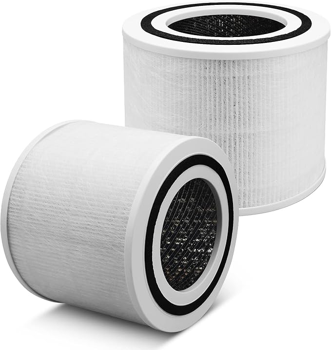 2 Pack Replacement True HEPA Filte by Colorfullife