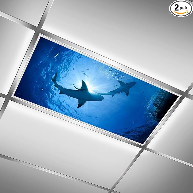 2PCS Fluorescent Light Covers for Classroom Ceiling Lights Magnetic Light Covers by RoseFace
