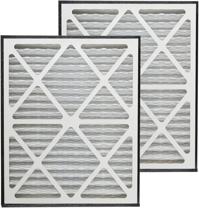 PUREBURG 20x30x3 Replacement Filter Compatible by PUREBURG-PureYourBreath