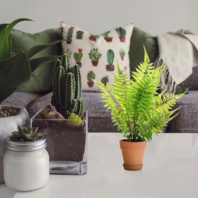 Red Clay Baked Clay Succulent Flower Pots - Image 9