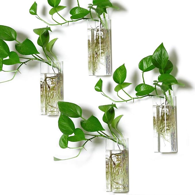 Square Glass Propagation Vase 4 Pack, Wall Hanging Hydroponic Planter | by Kingbuy