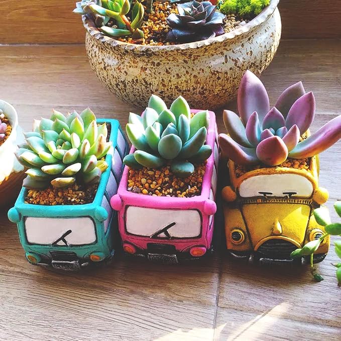 Cute Cacti & Succulent Plants Pot, Succulent Decor Planter Pot Indoor/Outdoor - Image 6