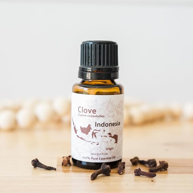 100% Pure Clove Essential Oils - Direct from Indonesian Essential Oils - Essential Oil for Diffusers Aromatherapy & Humidifiers (15ml) | Natural Cold-Pressed
