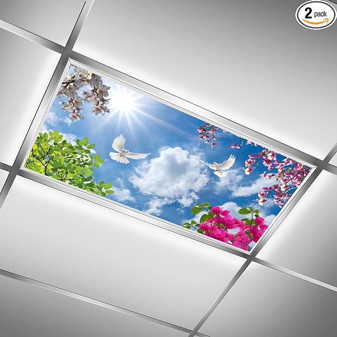 2PCS Fluorescent Light Covers for Classroom Ceiling Lights Magnetic Light Covers by RoseFace