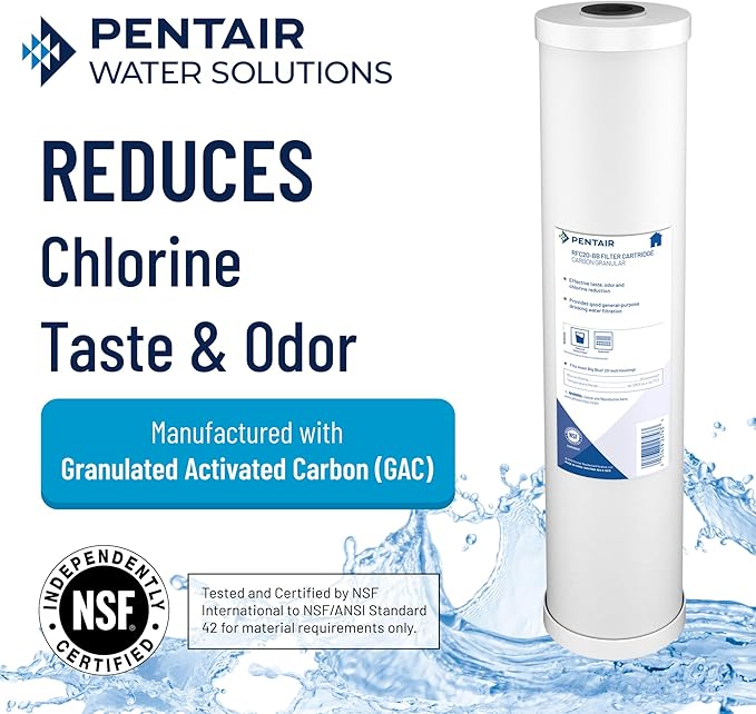 Pentair Pentek RFC-20BB Big Blue Carbon Water Filter, Whole House Heavy Duty - Image 3