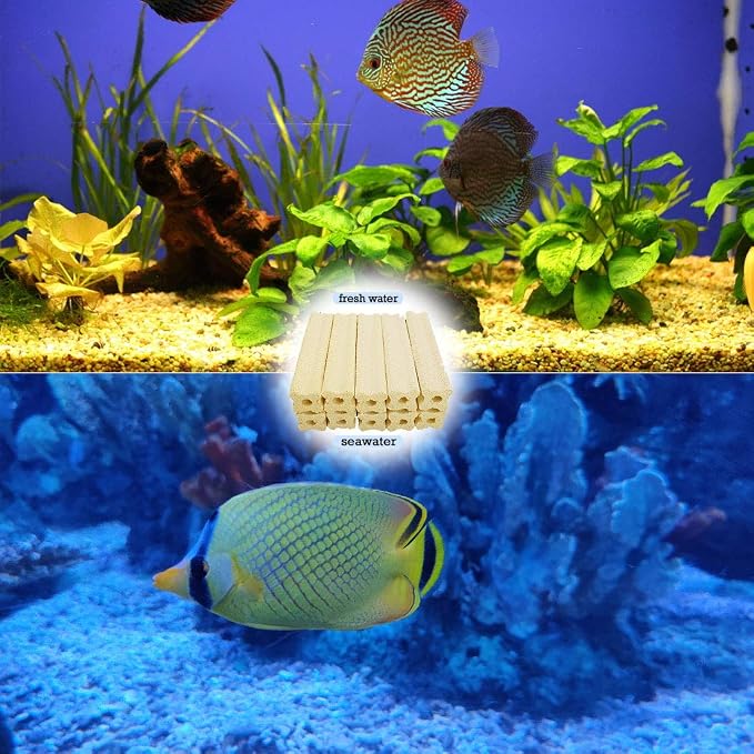 PINVNBY 20 Pcs 6.2-Inch Large Aquarium Filter Media Fish Tank Ceramic Media - Image 7
