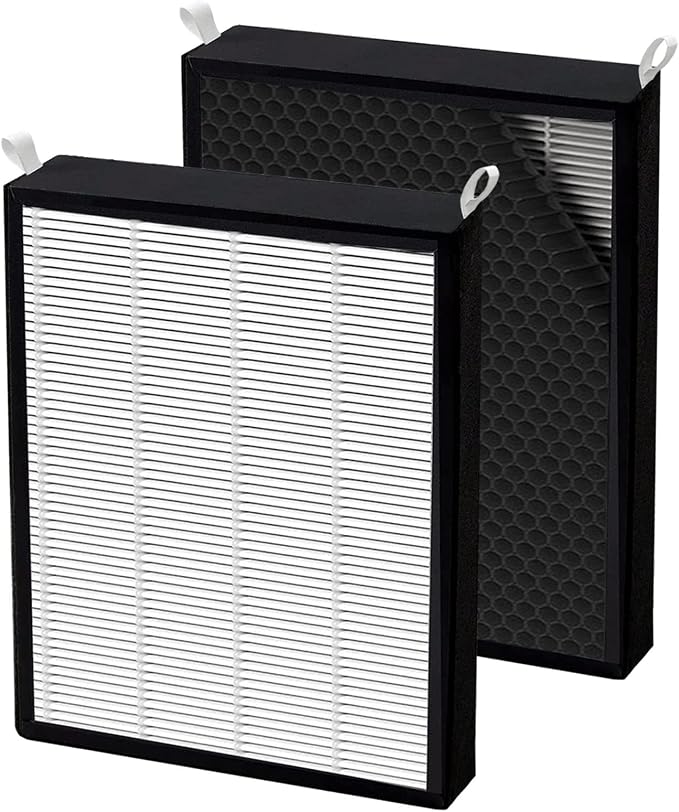 2 Pack True HEPA/Carbon Filters Replacement Compatible by Roninby
