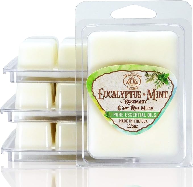 Eucalyptus-Mint Wax Melts – Aromatherapy Essential Oil Wax Melt Cubes by WayOutWestCandles
