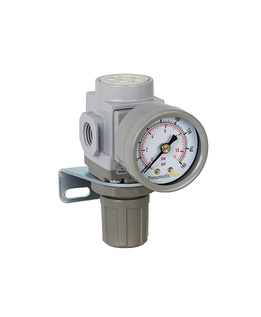 PneumaticPlus SAR200-N02BG Miniature Compressed Air Pressure Regulator 1/4" NPT by PneumaticPlus