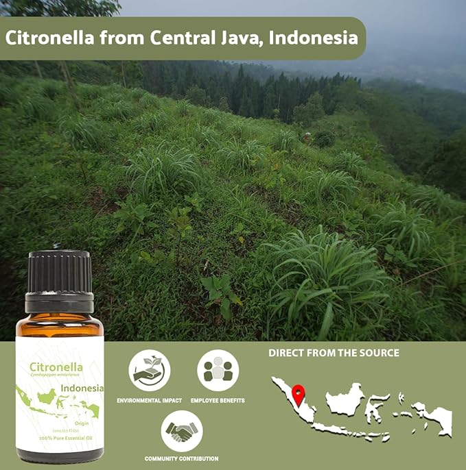 Citronella Essential Oil - Direct from Central Java, Indonesia - Pure Essential Oil for Diffusers and Aromatherapy | 100% Pure Therapeutic Grade (8oz)