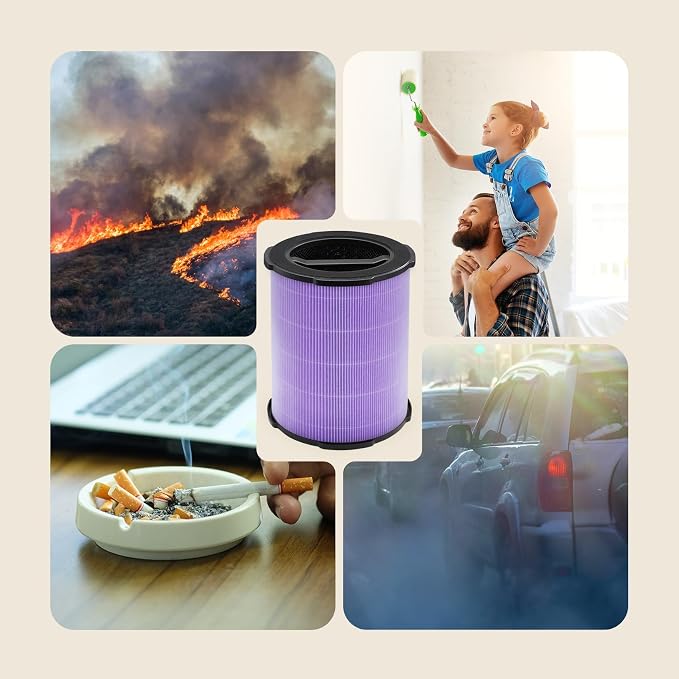 WELOV P200S/P200 Pro Toxin Absorber Filter, 3-in-1 H13 True HEPA and - Image 5