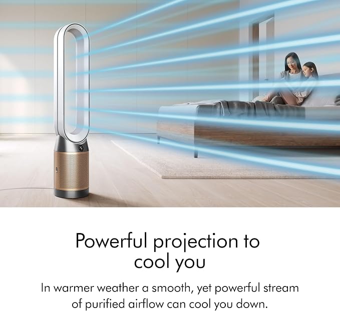 Dyson Purifier Cool PC2 De-NOx - Image 3