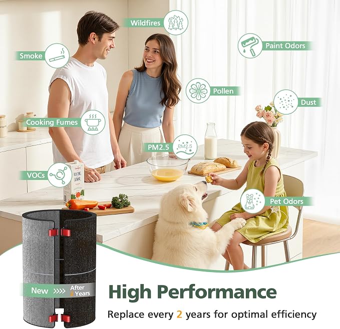 BP03 BP04 BP06 Activated Carbon Filter Compatible - Image 7