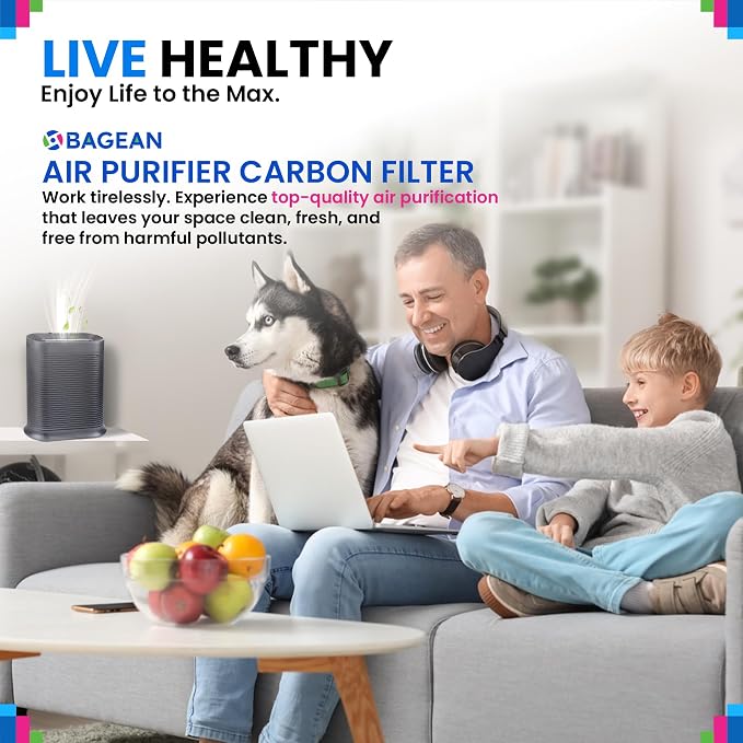 Bagean HPA100 Carbon Pre Filter A Compatible - Image 6