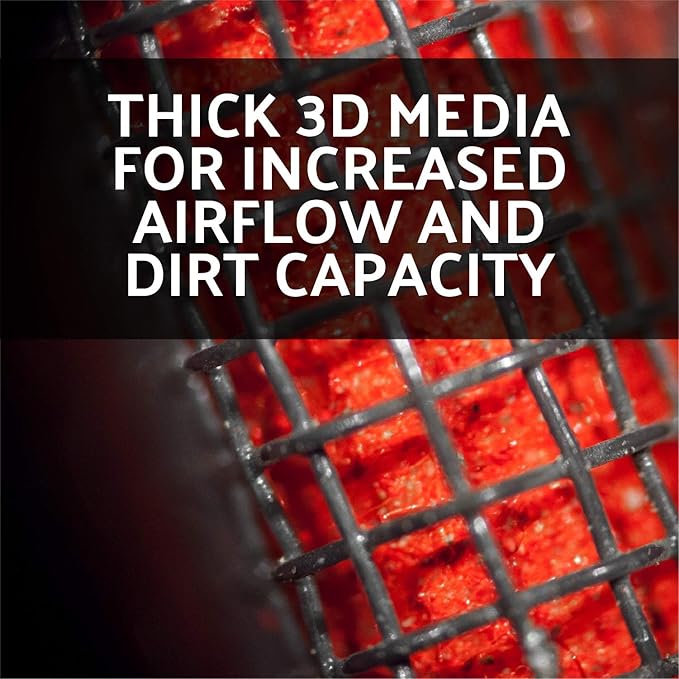 AEM 28-20395 DryFlow Air Filter - Image 4