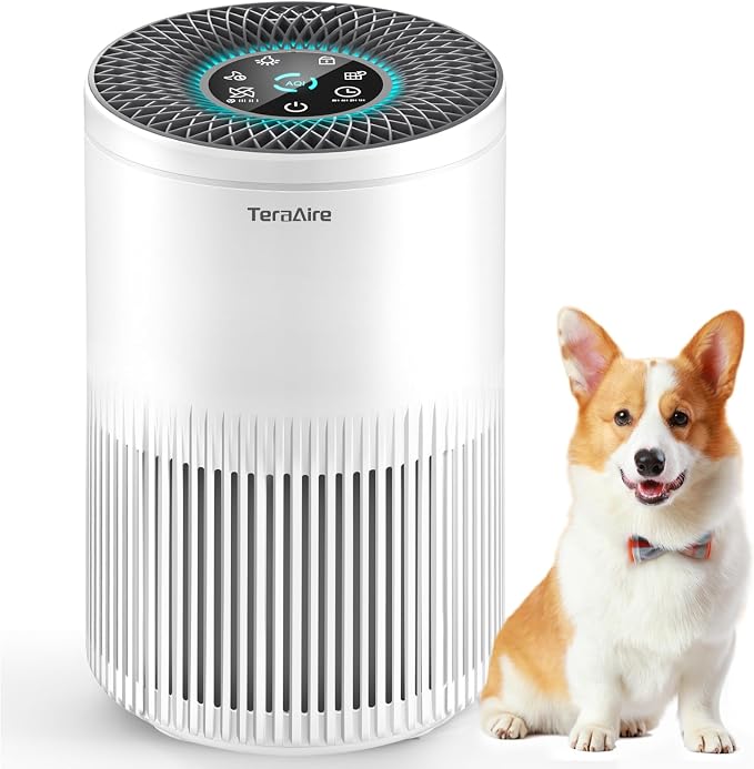 Air Purifiers for Bedroom Home, Air Purifier by Unknown