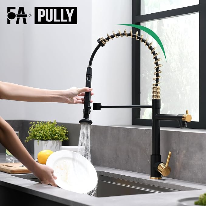Fapully Black&Gold Kitchen Faucet - Image 5