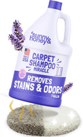 Sunny & Honey Carpet Cleaner Shampoo - 128 Fl Oz, Light Lavender Scent - Pet Stain Remover & Smell Eliminator - Rug Cleaner & Upholstery Cleaner Solution for Machine Use