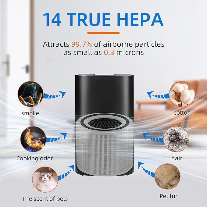 240 True HEPA Replacement Filter - Image 3