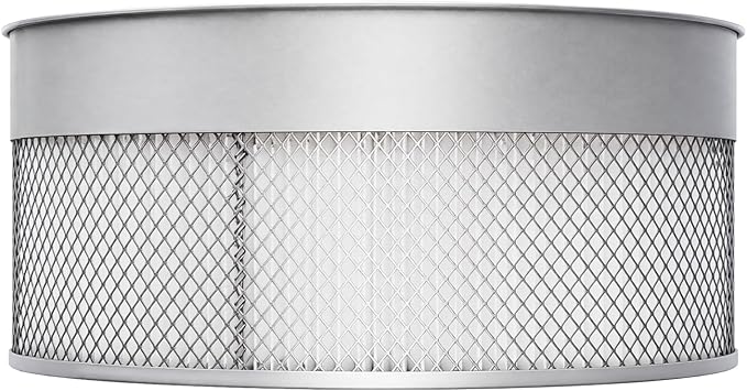 BUCKTOOL 2-Micron Dust Filter, Canister Filter Kit by BUCKTOOL