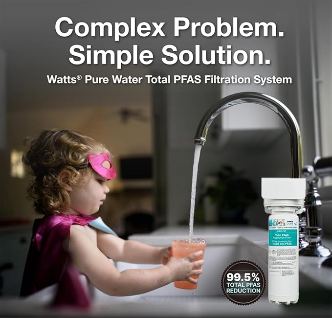 Watts Premier H2O-DWCBTP100 Single-Stage Total PFAS Reduction Under Counter - Image 9