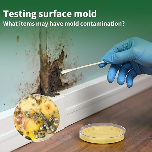 Mold Test Kit for Home - Image 6