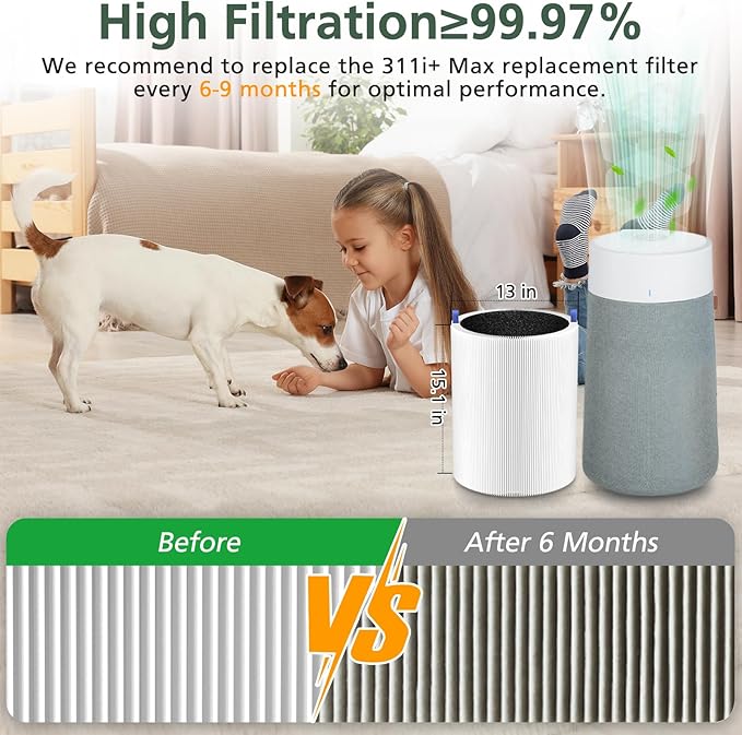 2 Pack 311i+ Max Replacement Filter Compatible - Image 6
