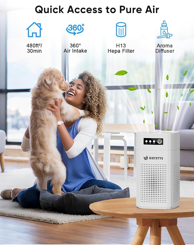 Air Purifiers for Bedroom, DAYETTE H13 True HEPA Air Filter Purifier for Small - Image 3