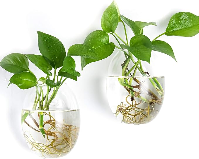 Kingbuy Egg Shaped for Propagating Hydroponic Plants 2 Pack Wall Planter | by Kingbuy