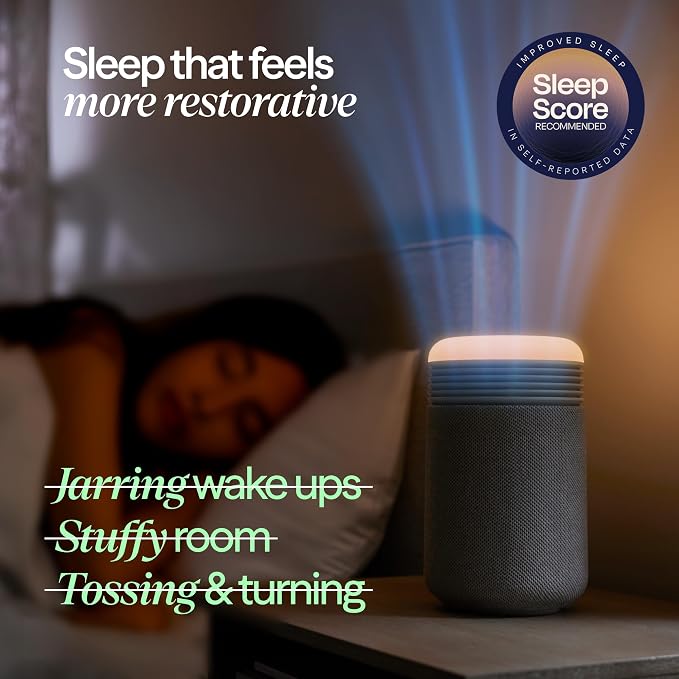 BLUEAIR Purifier for Bedroom - Image 6