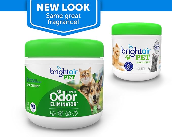 Bright Air 14 oz. Super Odor Eliminator, for Medium-Size Spaces, Cool Citrus Scent, Case of 6, Air Freshener, Natural Essential Oils, Lasts Up to 90 Days Each