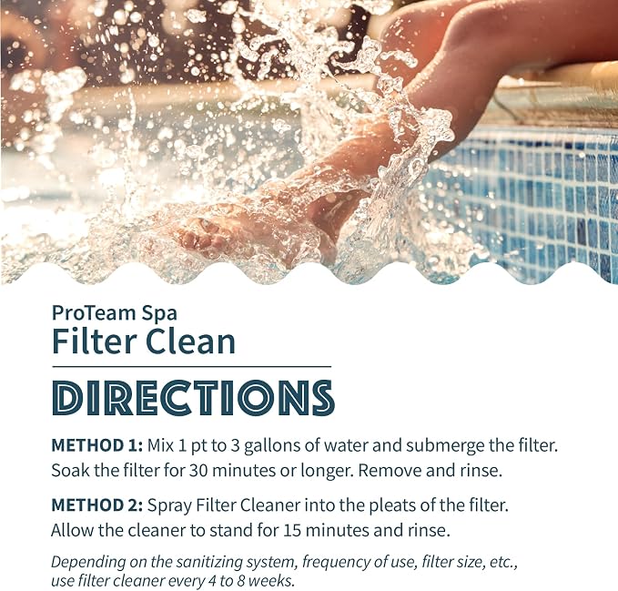 Proteam Spa Filter Clean - Image 4
