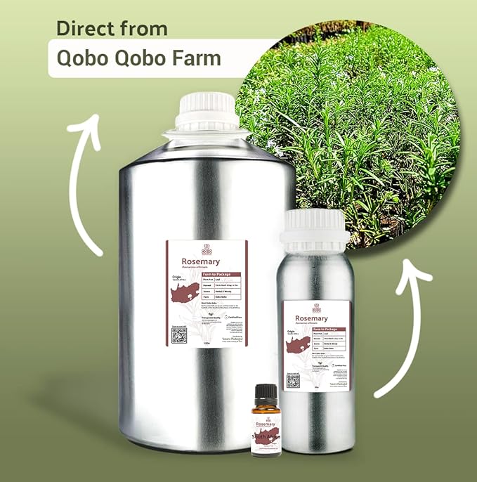 Rosemary Essential Oil - Direct from Qobo Qobo South Africa - Steam Distilled - Aceite Esencial de Romero for Aromatherapy, Massage, Diffuser, DIY Candle and Soap Making - 15ml