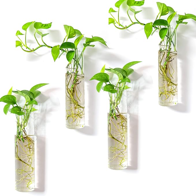 Kingbuy Wall-Mounted Plant Terrarium Propagation Station by Kingbuy