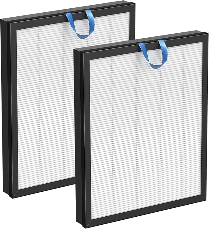 2 Pack Vital 200S Replacement Filter Set, H13 True HEPA Filter by NABEECA