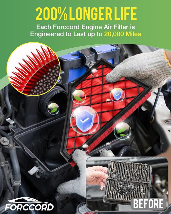 Cabin Air Filter and Engine Air Filter Fit - Image 6