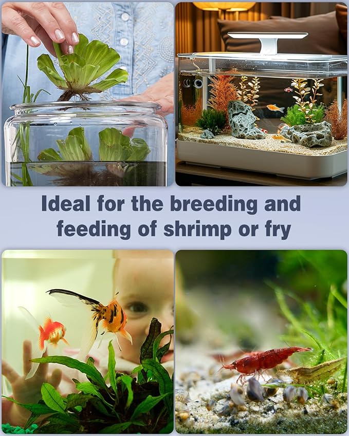 Pawfly Mini Aquarium Sponge Filter, Small Fish Tank Internal Filter - Image 6