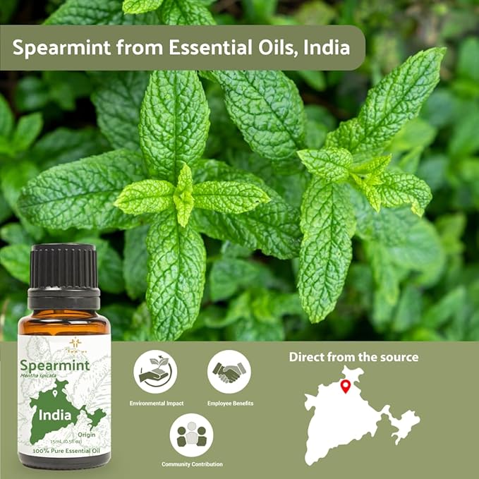 Spearmint Essential Oil - Direct from Essential Oils India - Steam Distilled - Aceite Esencial de Menta Verde for Aromatherapy, Massage, Diffuser, DIY Candle and Soap Making - 2lbs