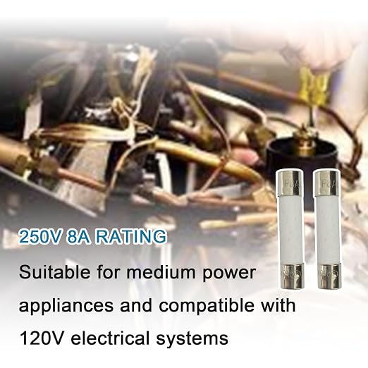 5-Pack 6x30mm 8A 250V Fast-Blow Ceramic Fuse - Image 4