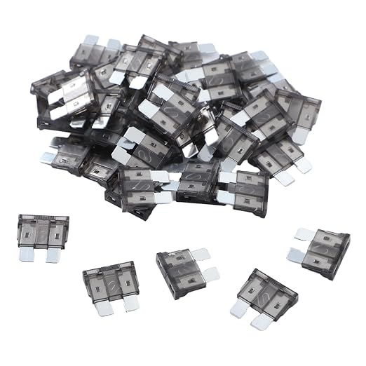 100 Pack Auto Fuses 2 AMP ATC/ATO Standard Regular Fuse Blade 2A Car Truck Boat by JESUNK