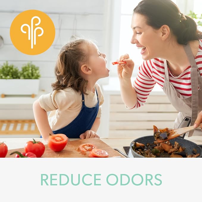 TruSens DuPont Odor & VOC Filter - Image 2