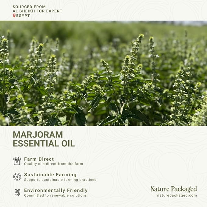 Marjoram Essential Oil - Direct from Al Sheikh for Export Egypt - Steam Distilled - Aceite de Mejorana for Aromatherapy, Massage, Diffuser, DIY Candle and Soap Making - 2lbs