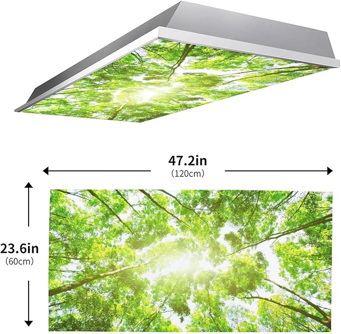 2PCS Fluorescent Light Covers for Classroom Ceiling - Image 3