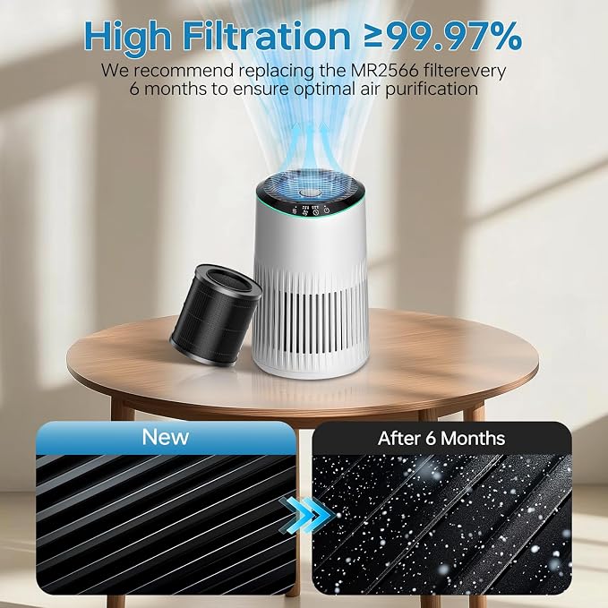 2 Pack MR2566 Filter for MORENTO MR2566 Replacement Filter, 3-in-1 True - Image 6