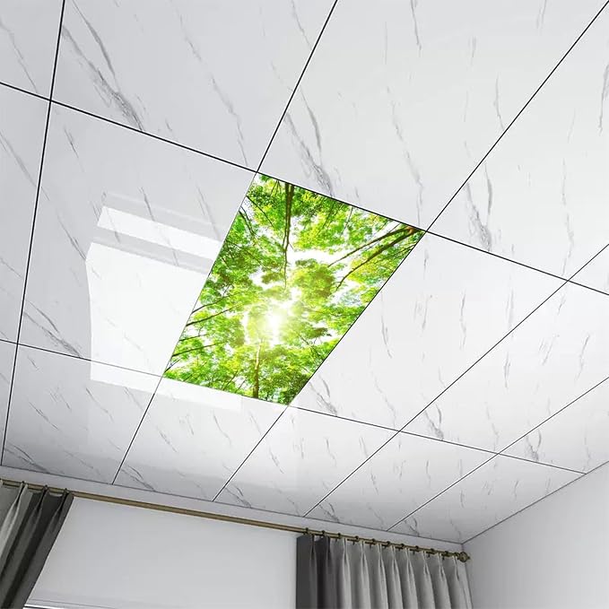 2PCS Fluorescent Light Covers for Classroom Ceiling - Image 7