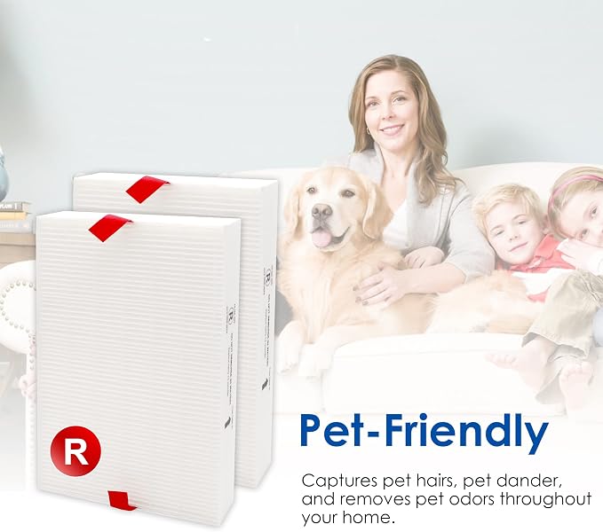 Replacement Filter R, Compatible - Image 6