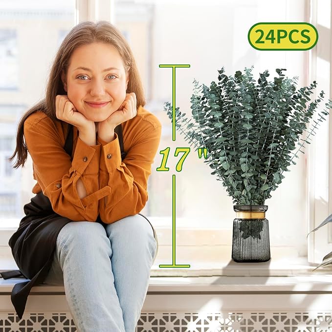 24 PCS Real Dried Eucalyptus Stems - Image 2