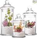 Set of 3 Glass Apothecary Jars with Lids, Clear Bathroom Storage Organizer Canister Set for Qtips, Cotton Swabs, Cotton Balls, Bath Salts (H: 11", 8.5", 7.5", D: 5"; 23 FL.OZ, 34 FL.OZ and 45 FL.OZ)